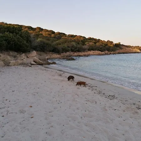 Residenza Moneta Holiday home La Maddalena (Sassari)